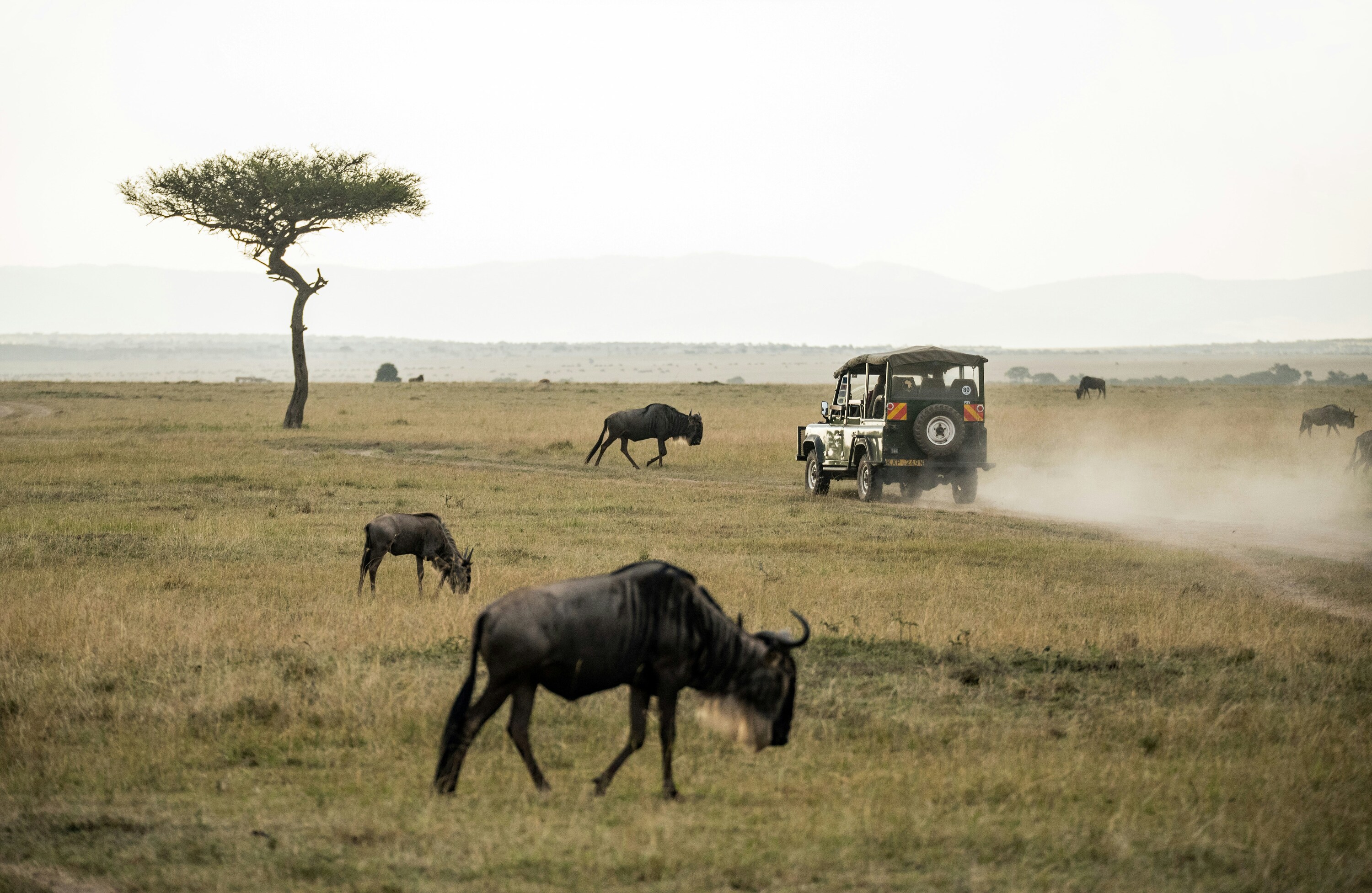 Lake Naivasha to Masai Mara National Reserve