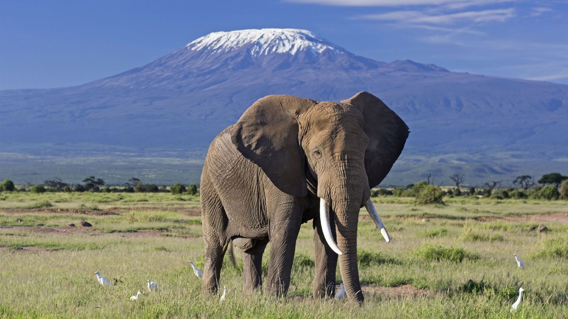 Samburu National Reserve